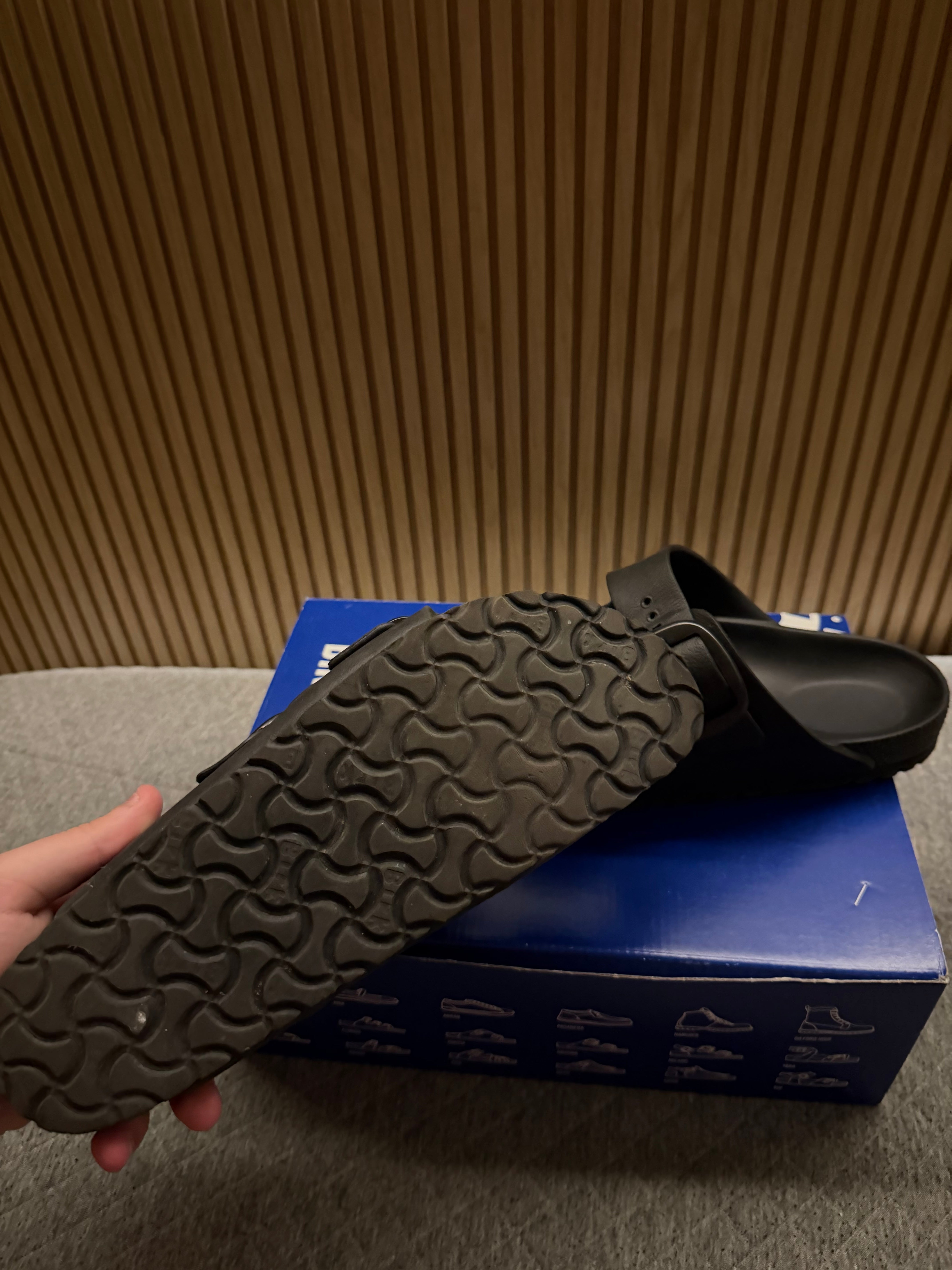 Birken eva