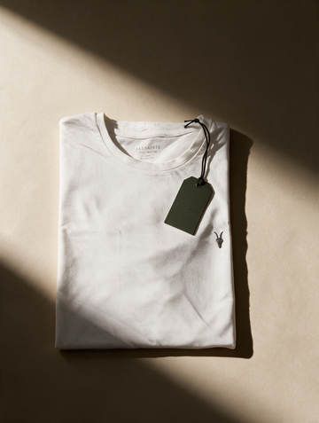 All saints Branca