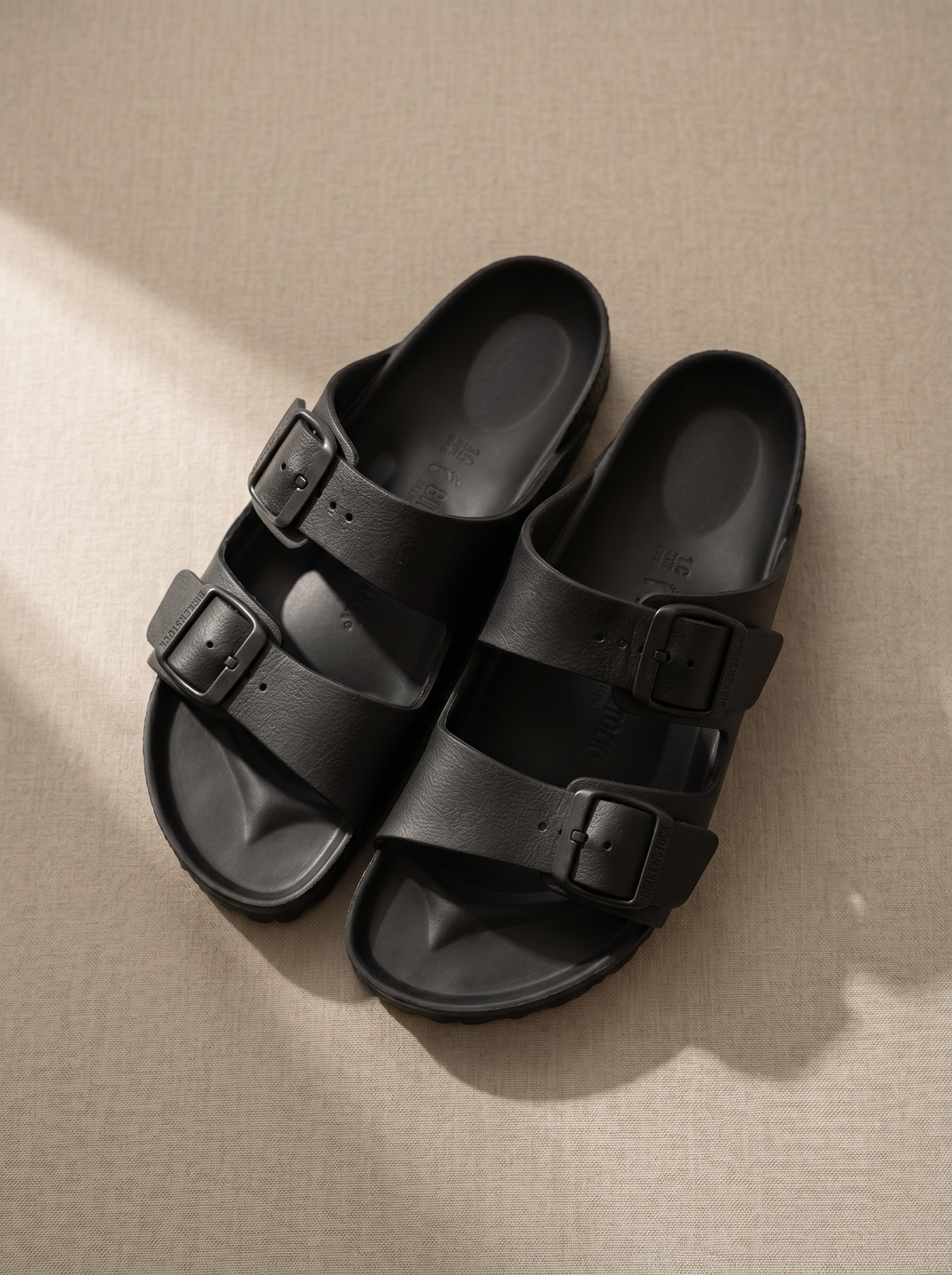 Birken eva